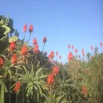 Le Stanze Sul Mare 3* Pozzallo