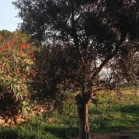 Le Stanze Sul Mare Bed & Breakfast