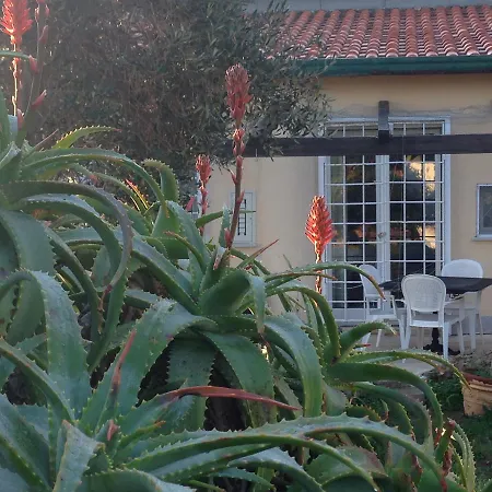 Le Stanze Sul Mare Bed & Breakfast Pozzallo